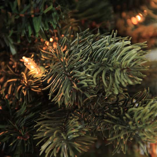 Northlight 6ft. Pre-Lit Medium Savannah Spruce Artificial Christmas Tree, Clear Lights